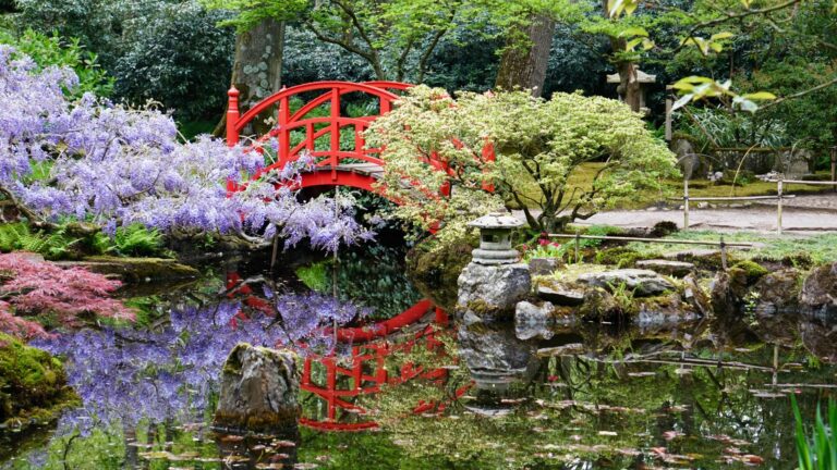 Créer un jardin japonais maison : L’harmonie à la portée de tous