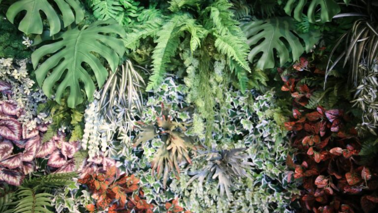 Plantes tropicales : un voyage exotique dans votre jardin
