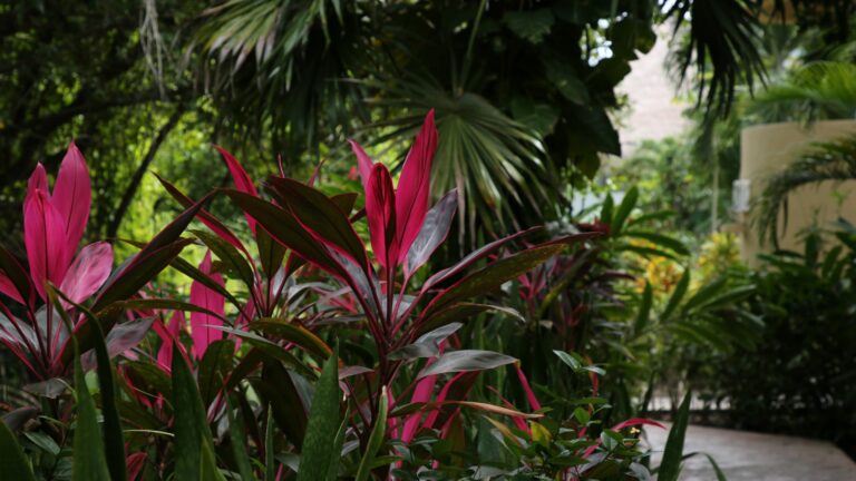 Guide sur les plantes exotiques d’extérieur pour un jardin tropical