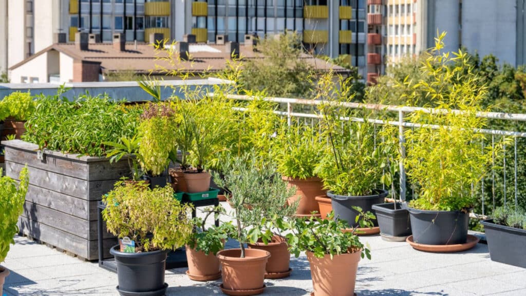 votre petit jardin urbain